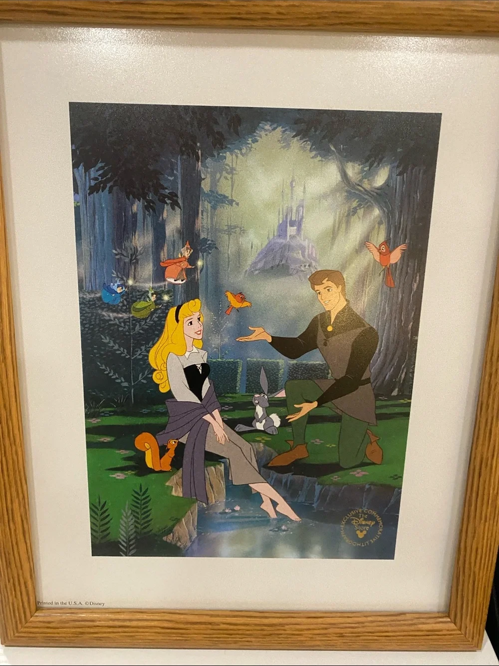 Disney Framed Princess Prints in Blue, Green and Brown